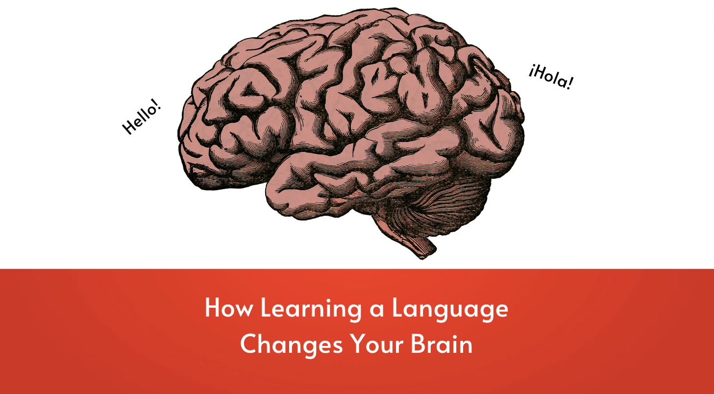 How Learning A Language Changes Your Brain English With Dylan   Screen Shot 2023 03 10 At 10.54.06 AM 